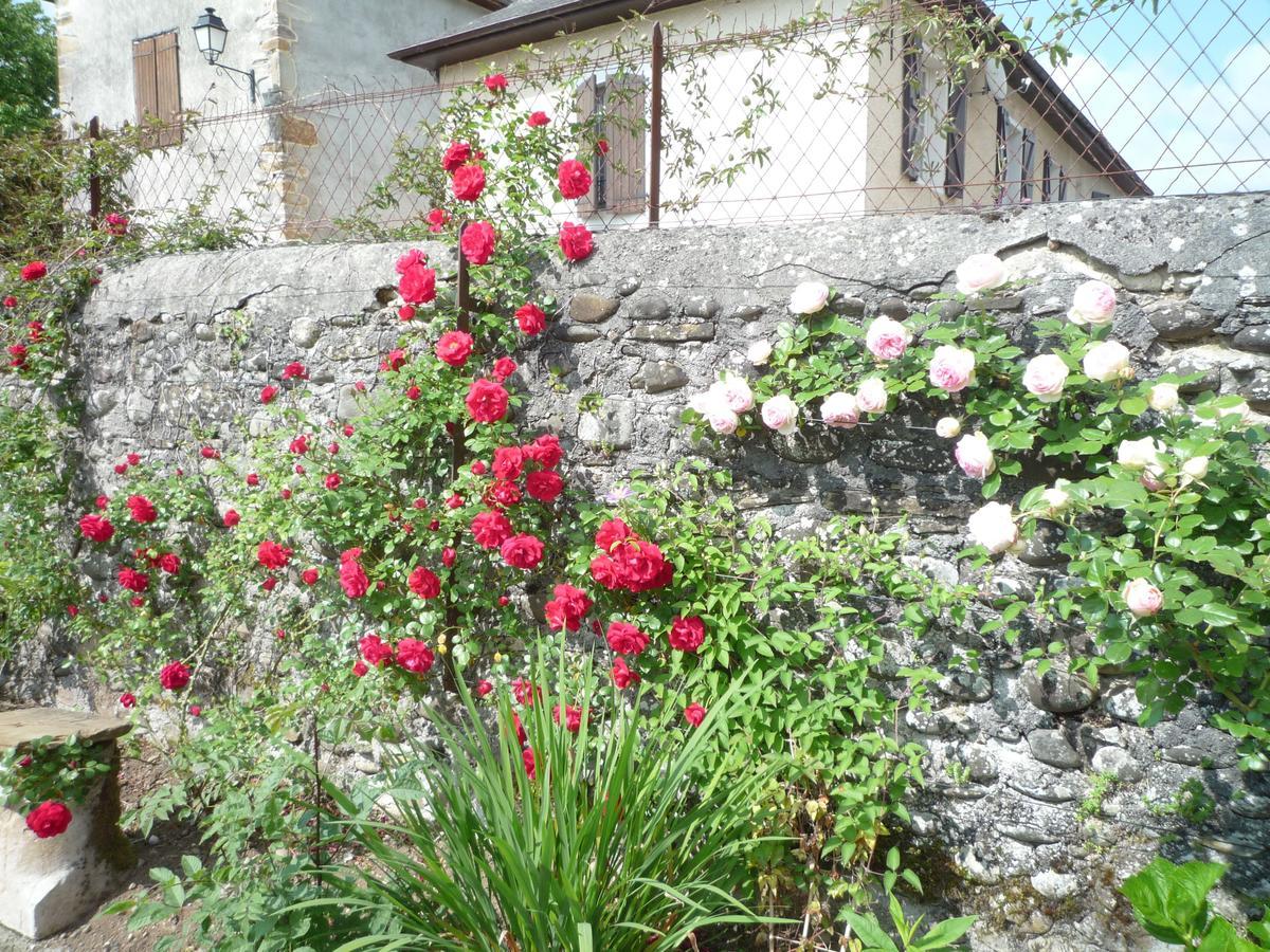 Bearn Bed & Breakfast Pau Luaran gambar